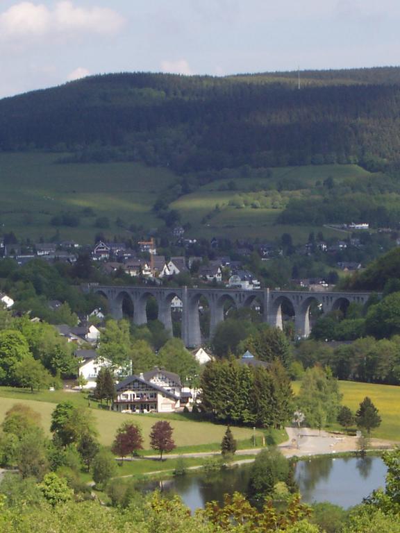 Wietheger'S Ferienwohnungen Gaestehaus Strycktal II Willingen  Buitenkant foto