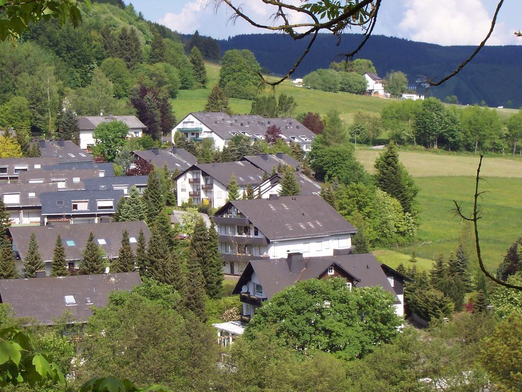 Wietheger'S Ferienwohnungen Gaestehaus Strycktal II Willingen  Buitenkant foto